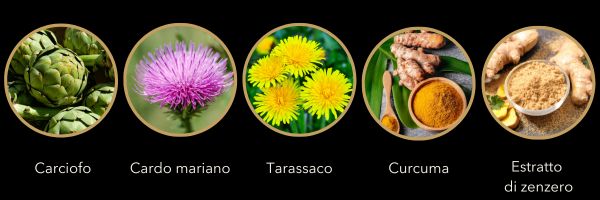 Ingredienti