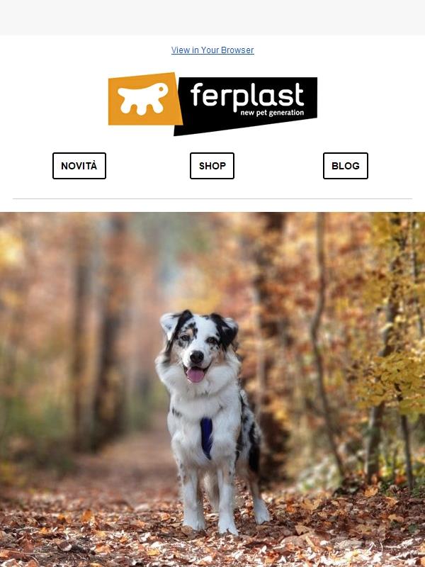 🍂 Promo d'autunno: -15% su TUTTO