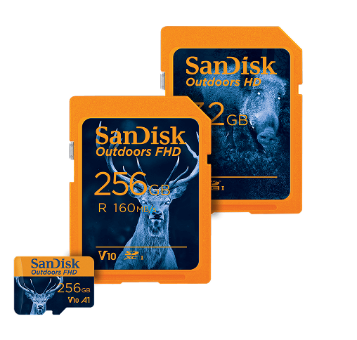 Tre schede di memoria SanDisk Outdoors raccolte, tra cui una scheda SD da 256 GB con l'immagine di un cervo, una scheda SD da 32 GB con un cinghiale e una scheda microSD da 256 GB.
