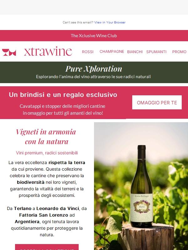 Vini in armonia con la natura e spumanti di classe