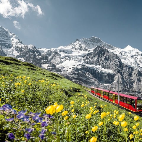 Activity image: Da Interlaken: gita di un giorno allo Jungfraujoch in autobus e treno
