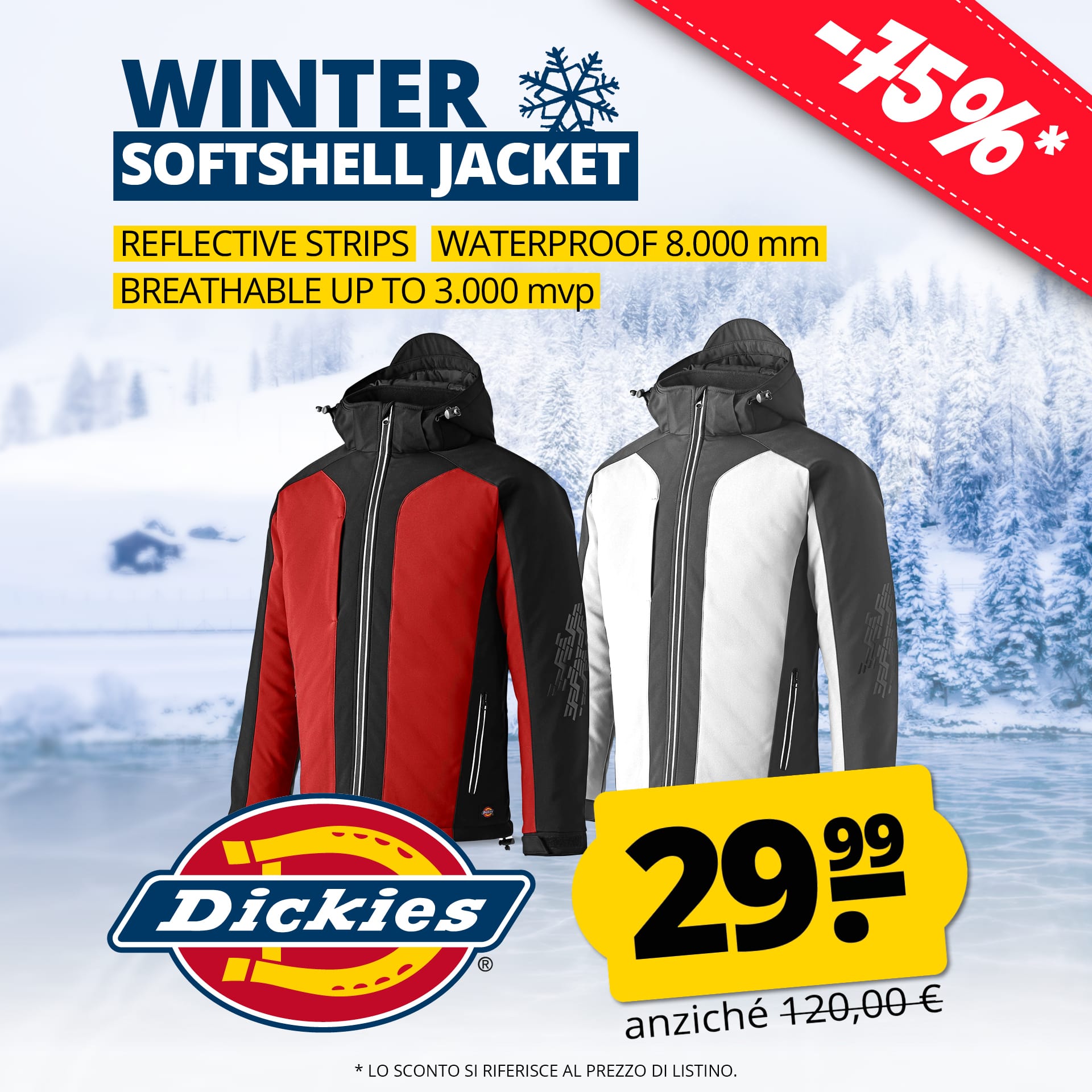 Dickies winter jacket