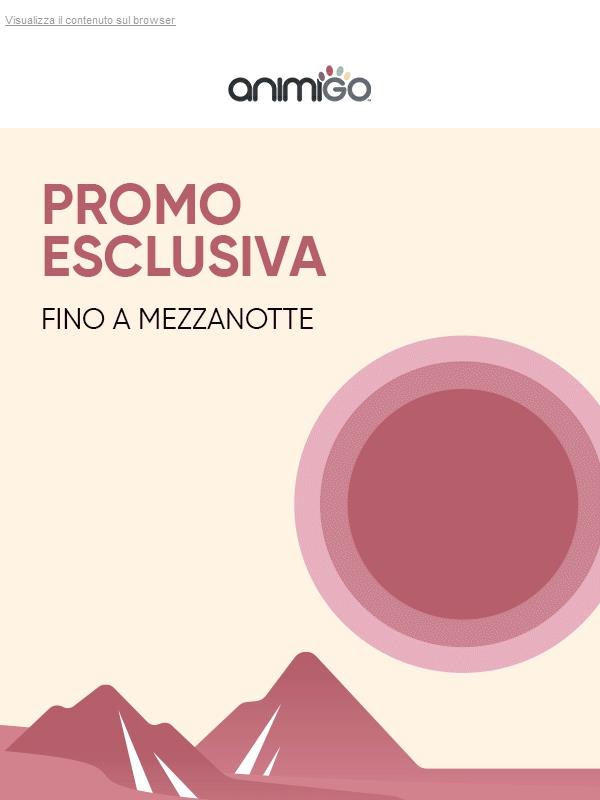 🎁 Solo Per Te Il 30% Di Sconto Per 24 Ore!