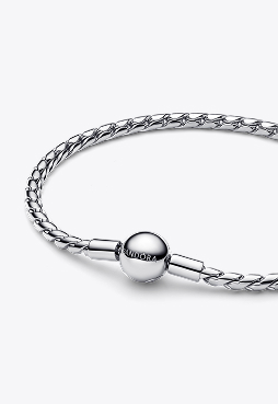 Round Clasp Wing Chain Bracelet