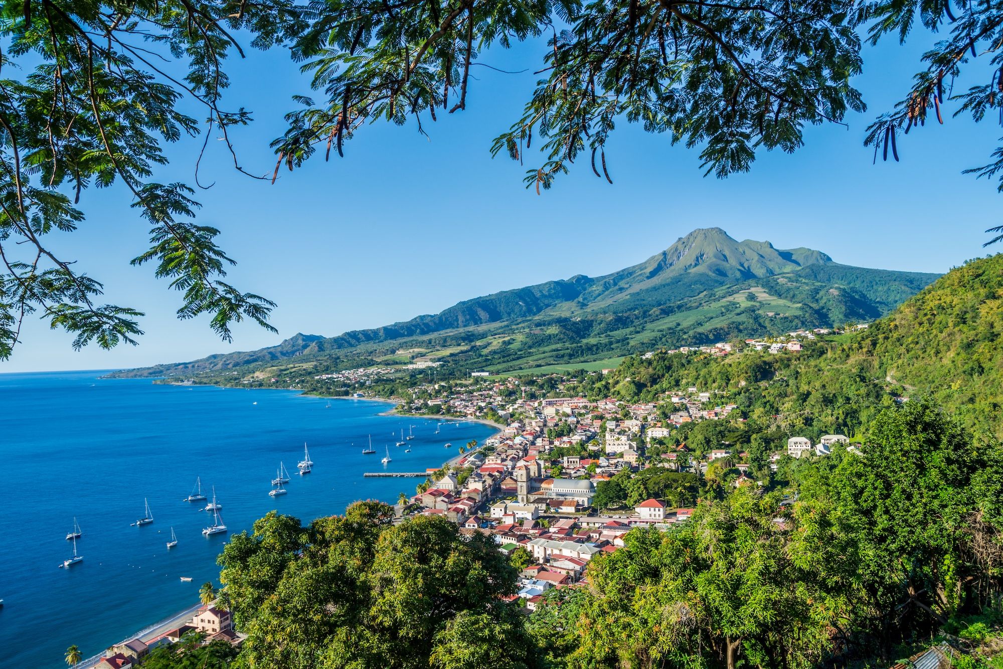 Montagne Pelée: trekking sul vulcano patrimonio Unesco della Martinica
