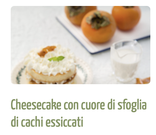 cheesecake cachi
