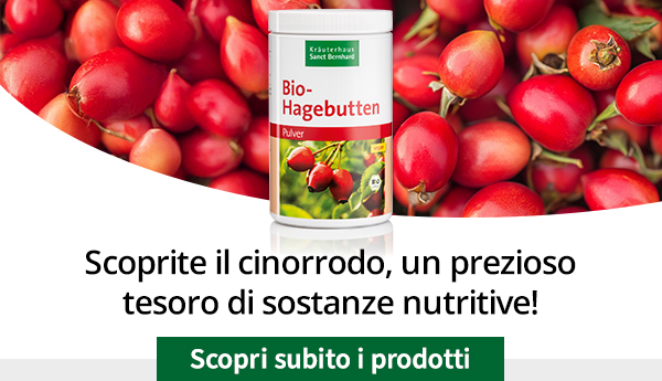 Scoprite il cinorrodo, un prezioso tesoro di sostanze nutritive!