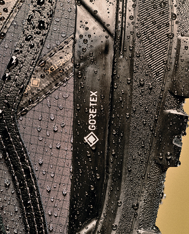 Sk8-Hi GORE-TEX Insulated Shoe