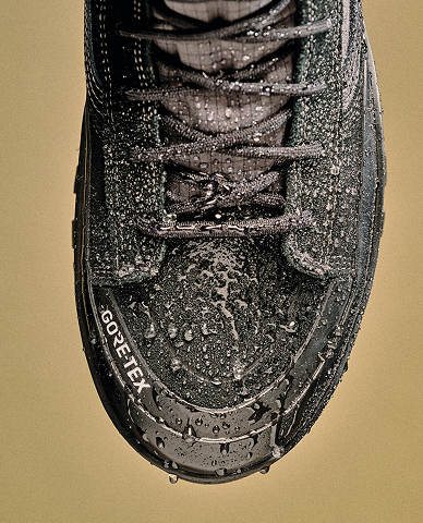 Sk8-Hi GORE-TEX Insulated Shoe