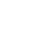 Icona “Spedizione gratuita*” Icona “Camion