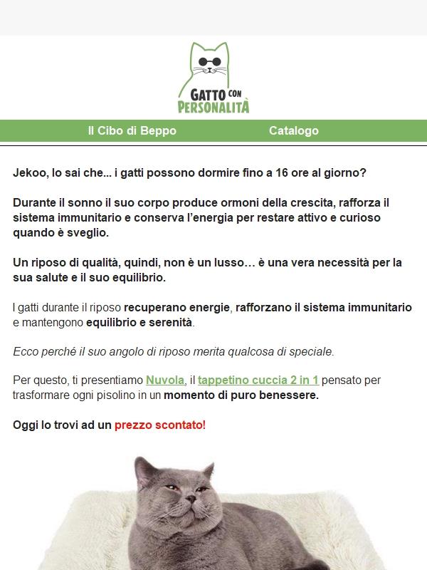 Perché i gatti dormono tanto?