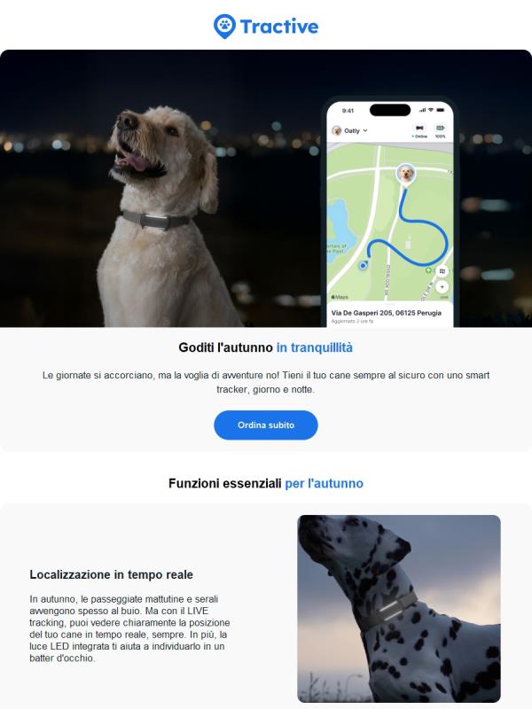 Autunno in sicurezza con il tuo cane