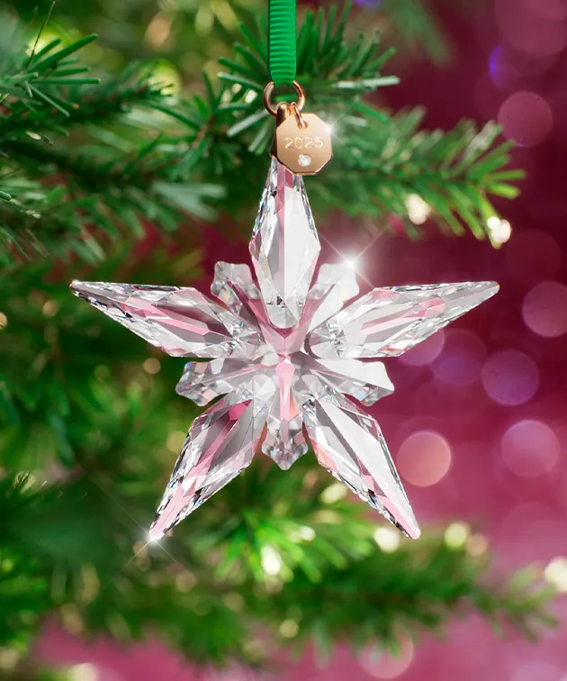 Annual Edition Decorazione di Swarovski appesa all’albero Annual Edition Decorazione di Swarovski appesa all’albero