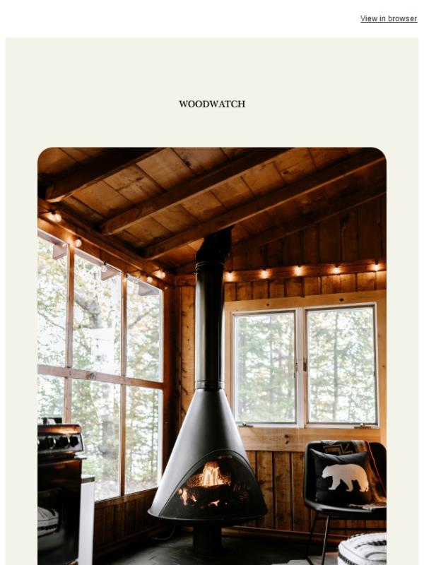 The Friday Pause: take a moment for yourself 🌳