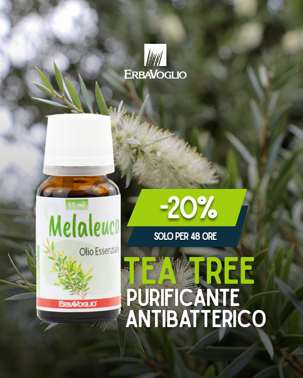 Olio Essenziale di Melaleuca Olio Essenziale di Melaleuca