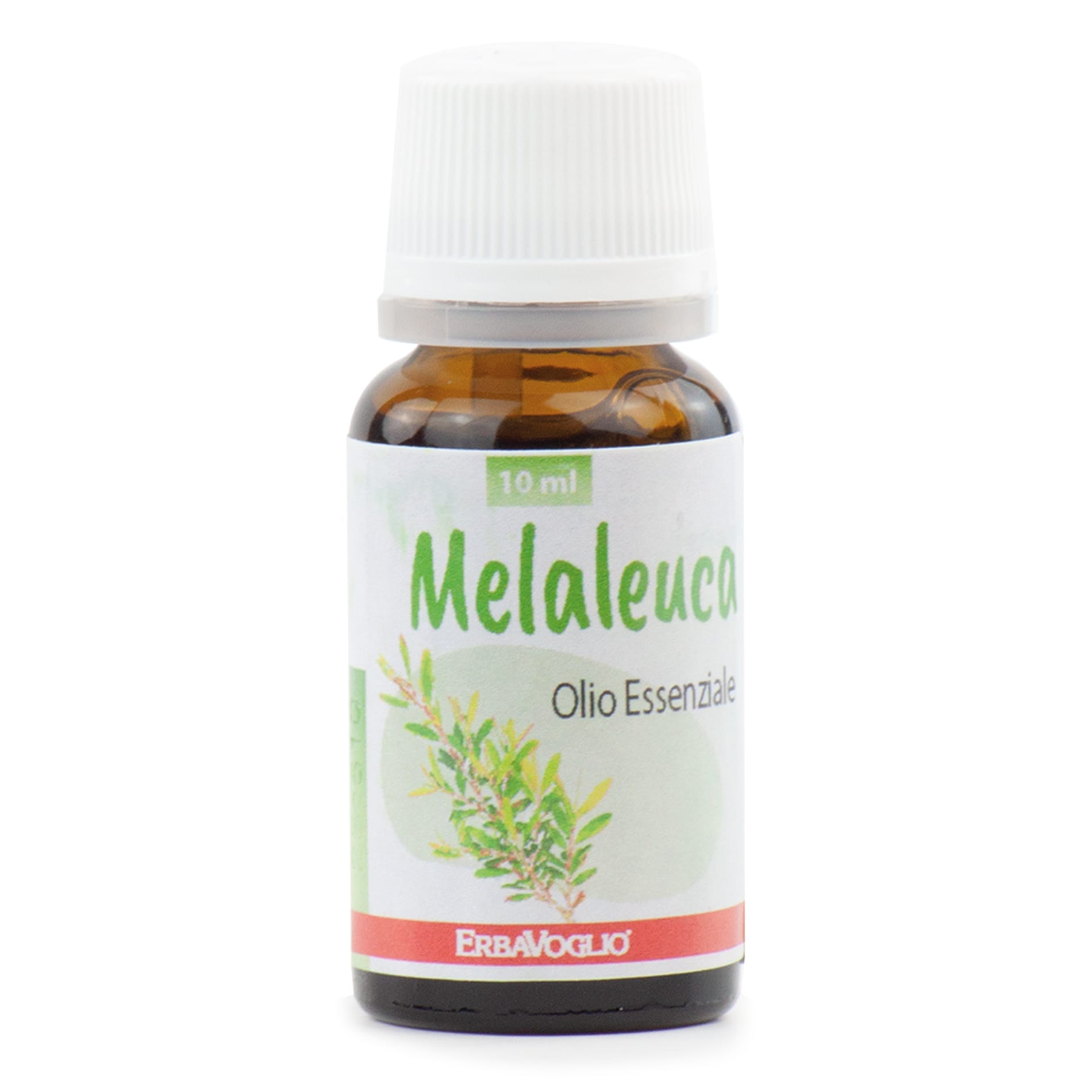 Image of Olio Essenziale di Melaleuca (Tea Tree)