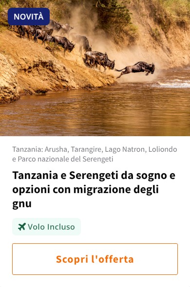 Tanzania e Serengeti da sogno e opzioni con migrazione degli gnu