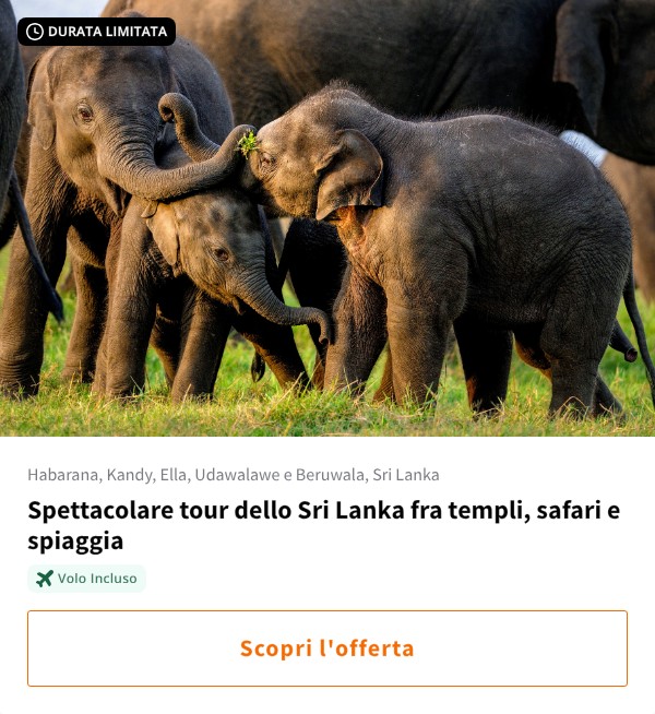 Spettacolare tour dello Sri Lanka fra templi, safari e spiaggia