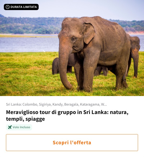 Meraviglioso tour di gruppo in Sri Lanka: natura, templi, spiagge