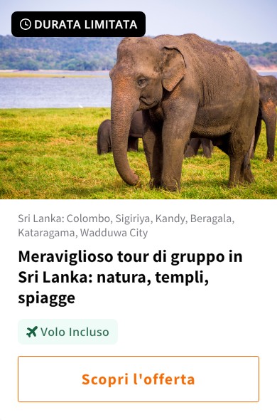 Meraviglioso tour di gruppo in Sri Lanka: natura, templi, spiagge