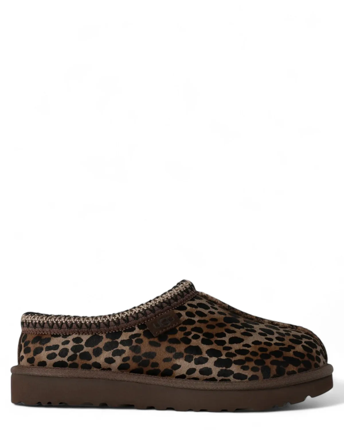 Image of Tasman Caspian in Cavallino Maculato