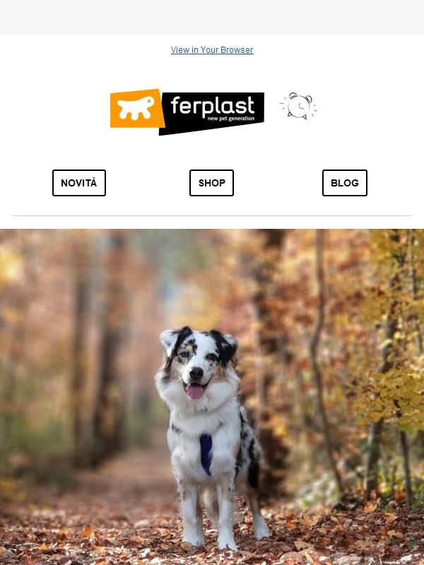 Sconto 15% | Ultimo Giorno 🍂