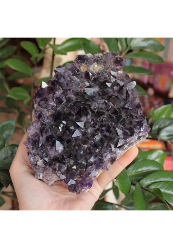 Image of Drusa Ametista EXTRA Uruguay