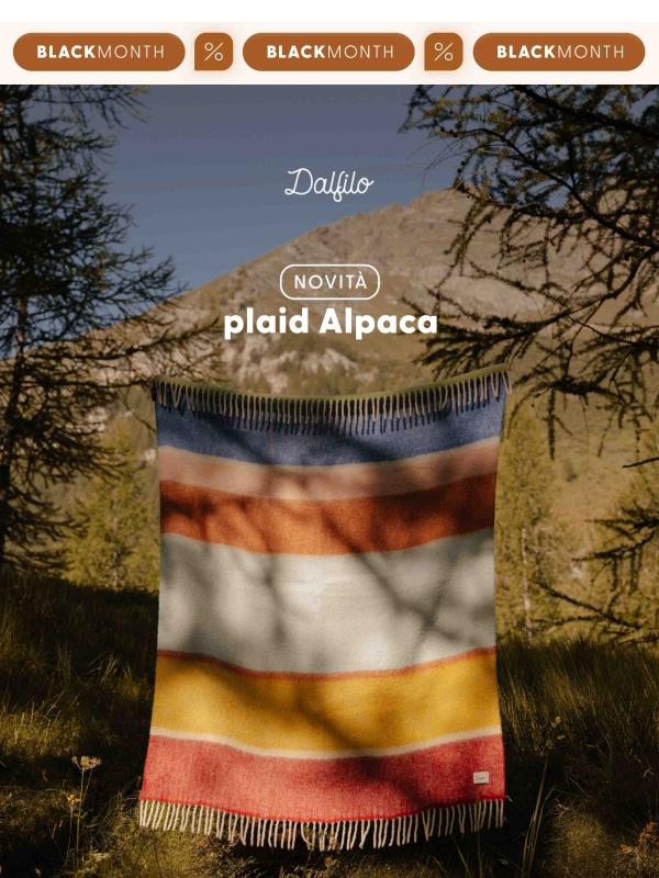 🧶 Un Nuovo Plaid
