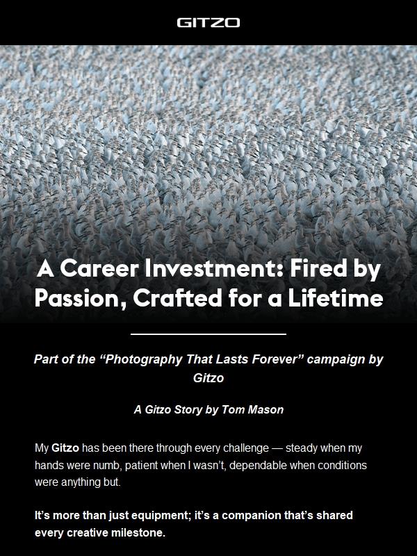 A Career Investment