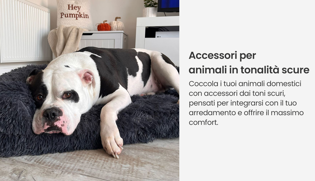 Accessori per animali in tonalità scure