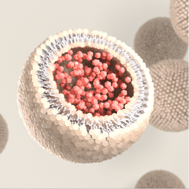 alt="Visualizzazione digitale 3D di una sfera liposomiale con uno strato lipidico semitrasparente e particelle raggruppate all'interno, che illustra l'incapsulamento dei nutrienti.»