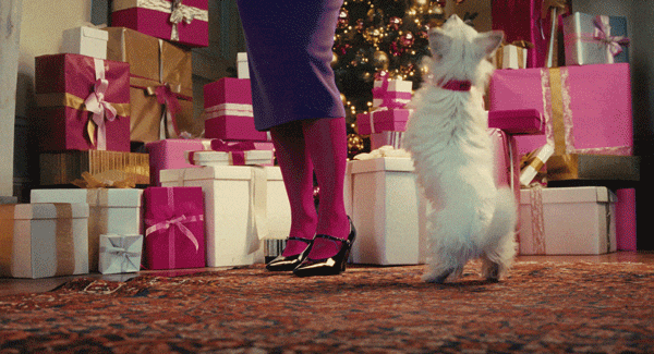 MERRY XMESS The Gift Guide