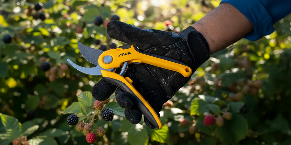 STIGA Autumn pruning