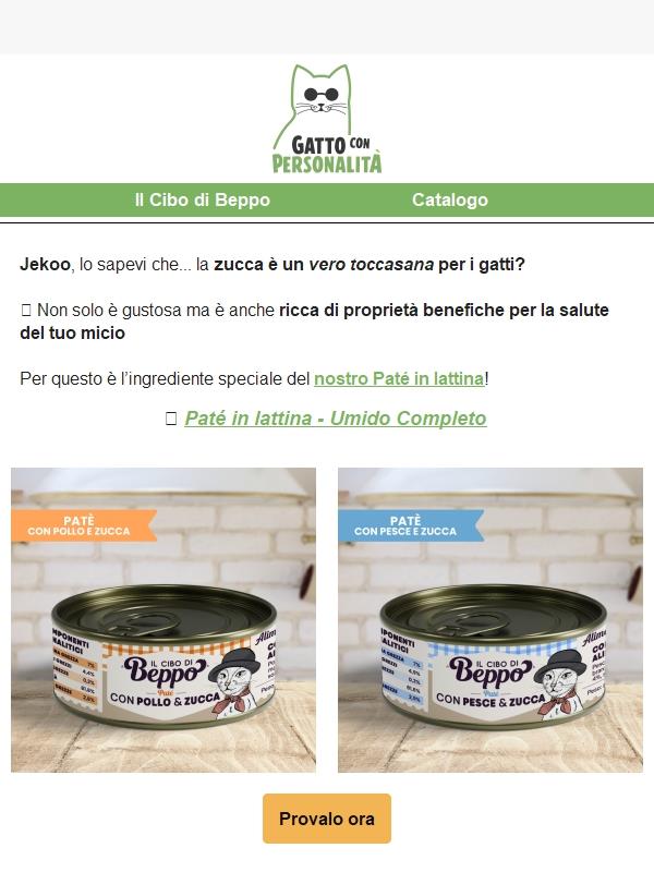 I gatti possono mangiare la zucca?