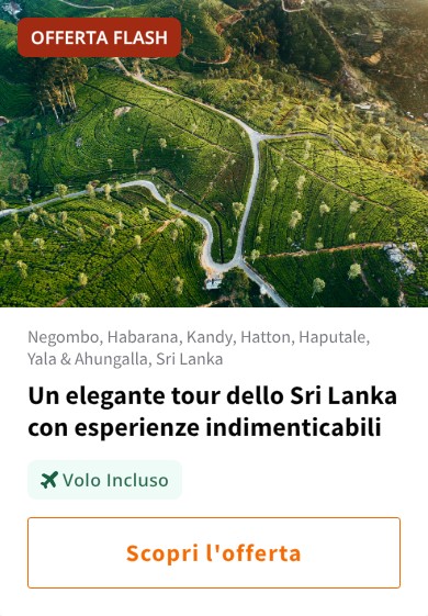 Un elegante tour dello Sri Lanka con esperienze indimenticabili