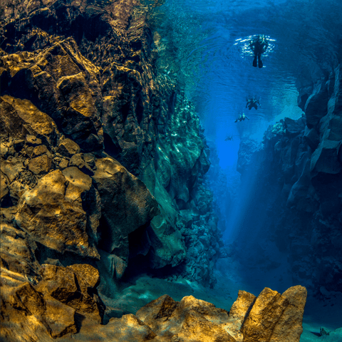 Activity image: Reykjavík: Snorkeling della faglia di Silfra tra due continenti