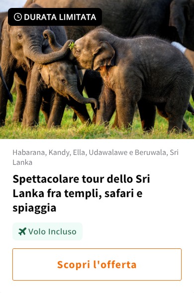 Spettacolare tour dello Sri Lanka fra templi, safari e spiaggia