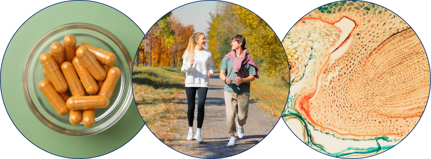 alt="Tre immagini circolari che mostrano capsule di integratori a base di erbe in una ciotola di vetro, una coppia che fa jogging all'aperto in autunno e una sezione microscopica di tessuto vegetale, che simboleggia la vitalità naturale e la struttura cellulare.»