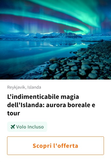 L&#x27;indimenticabile magia dell&#x27;Islanda: aurora boreale e tour