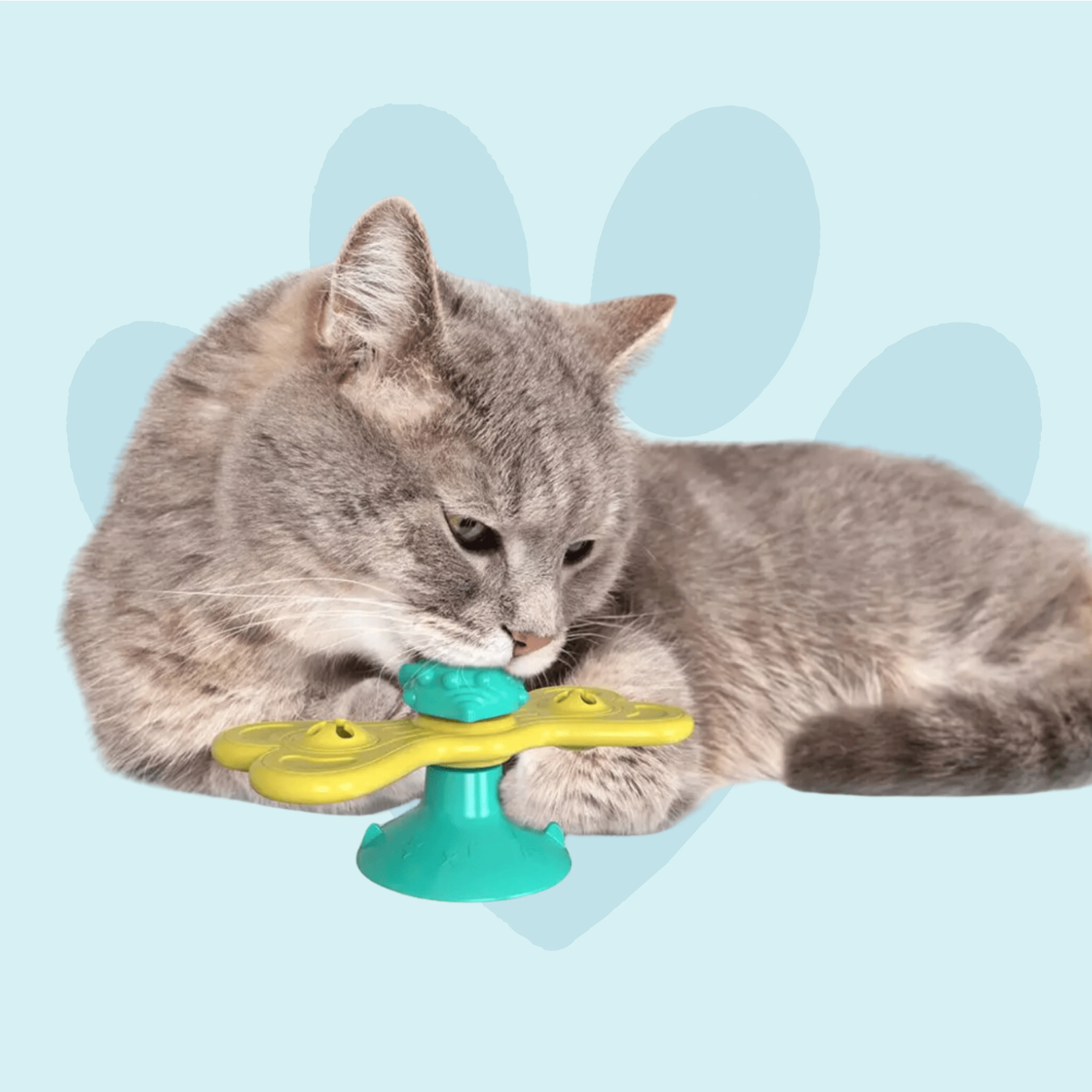 Image of Mulinix - Gioco per Gatti interattivo e Automatico