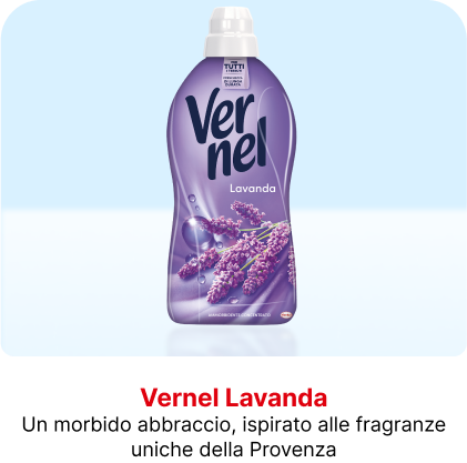 Vernel Lavanda