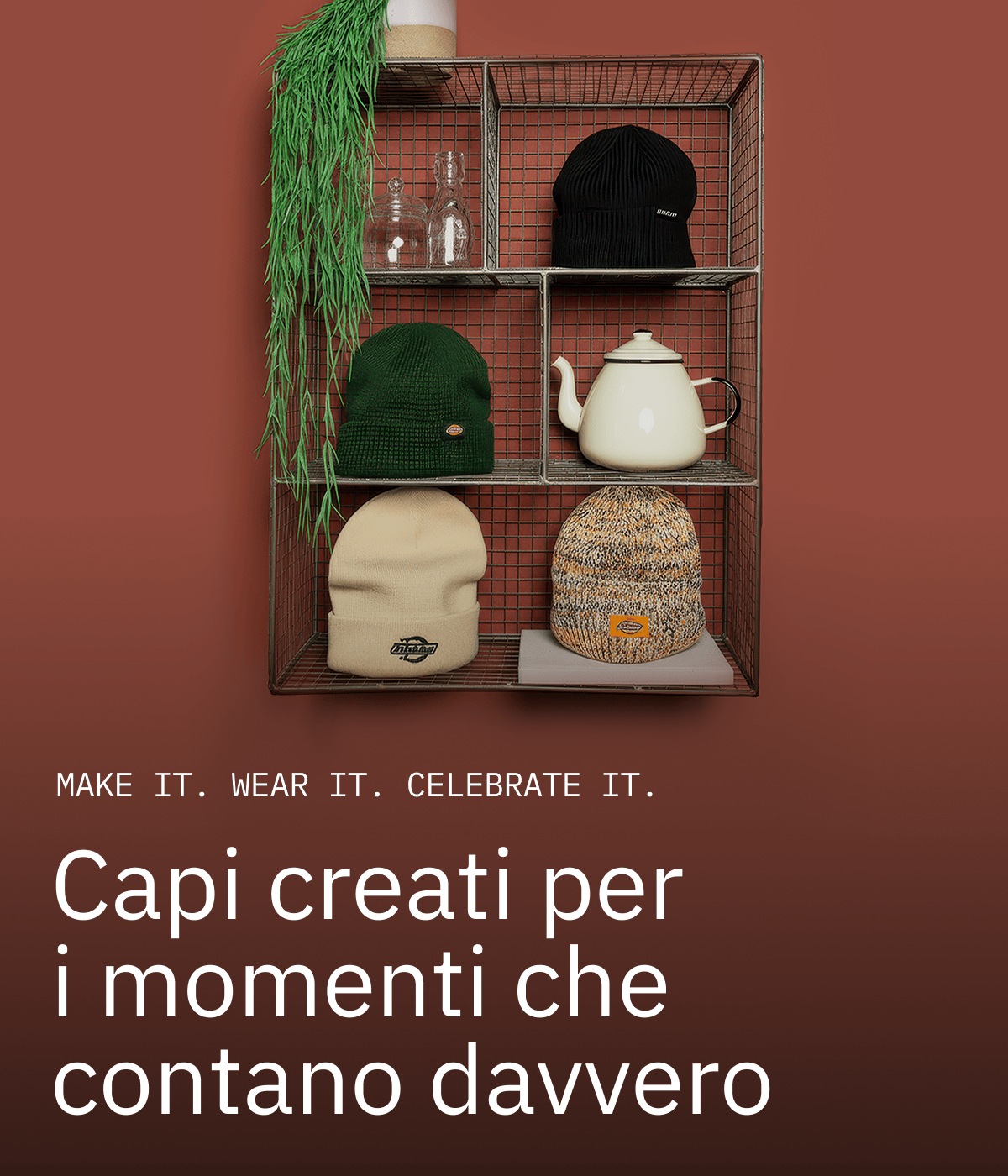 20251111_stories_cat_beanies