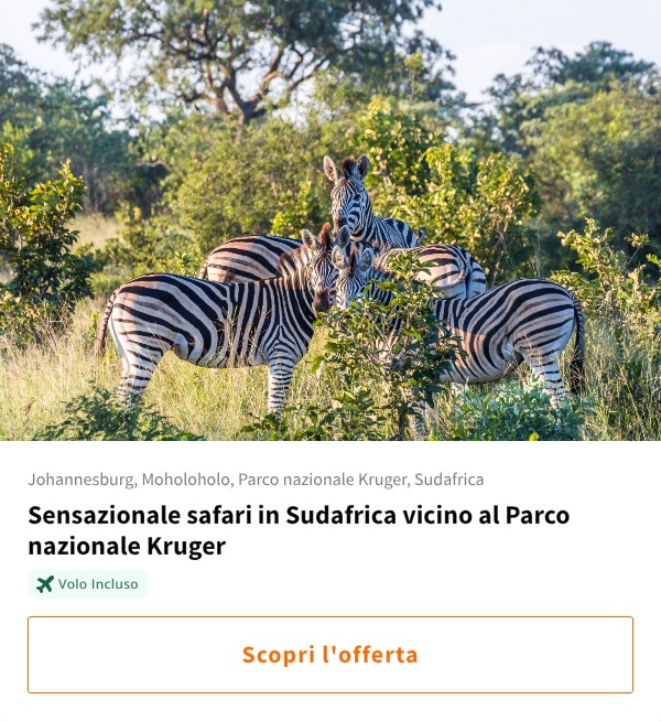 Sensazionale safari in Sudafrica vicino al Parco nazionale Kruger