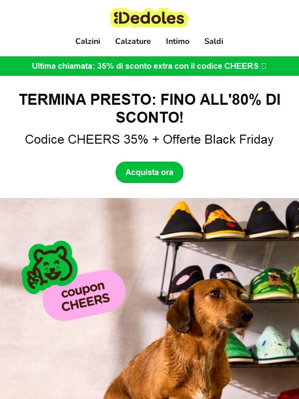 ⏰ Ultime ore per risparmiare fino all'80%!