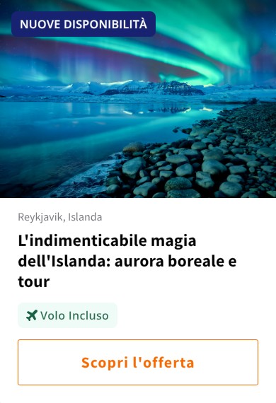 L&#x27;indimenticabile magia dell&#x27;Islanda: aurora boreale e tour