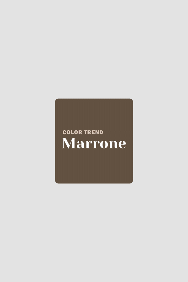 Scopri Catalogo Color Marrone
