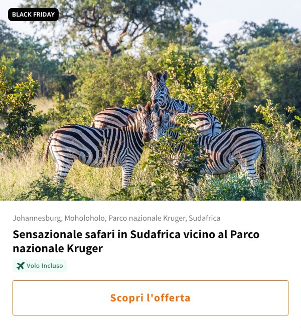 Sensazionale safari in Sudafrica vicino al Parco nazionale Kruger