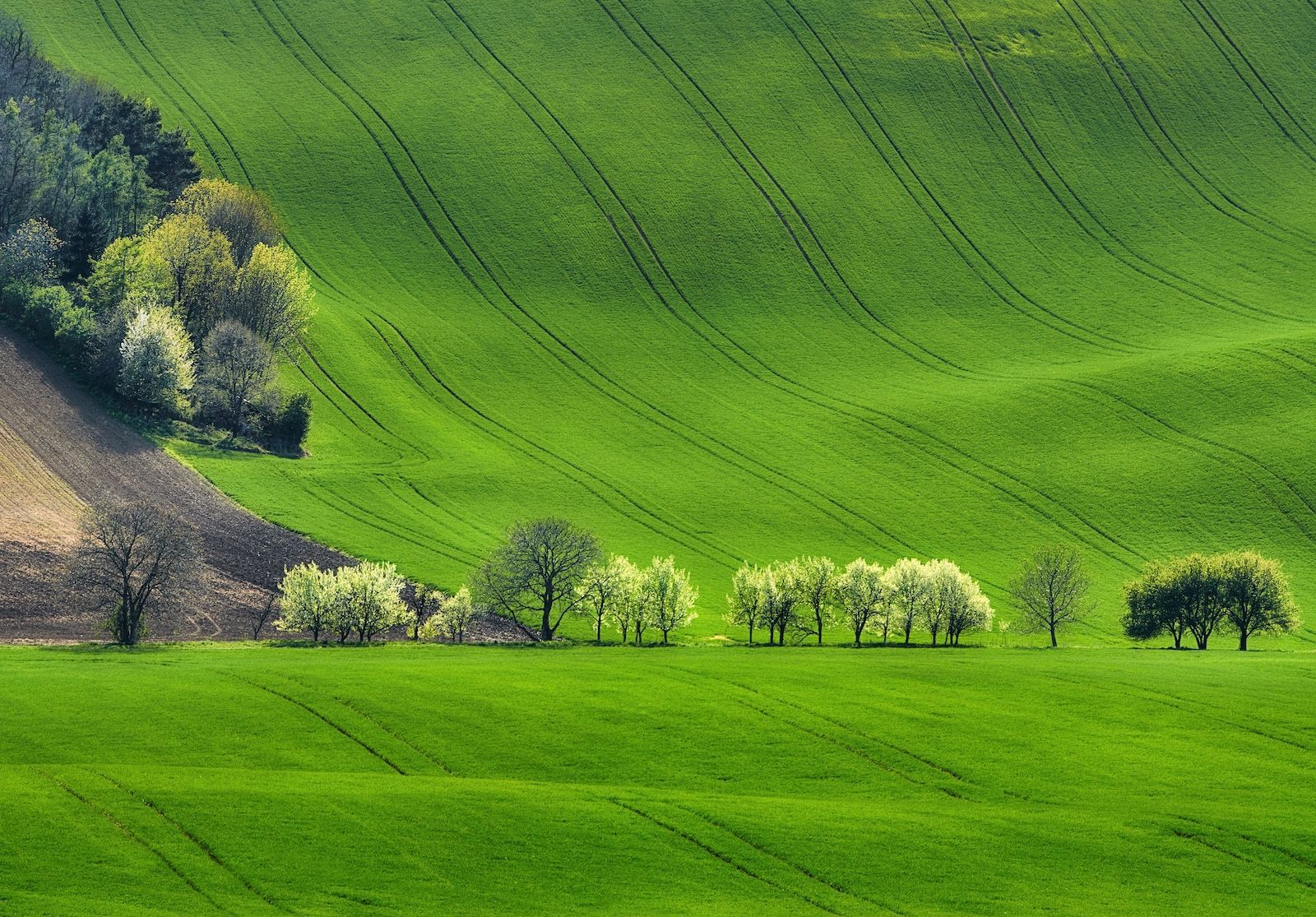 In viaggio con Regionale di Trenitalia nel segno della sostenibilità