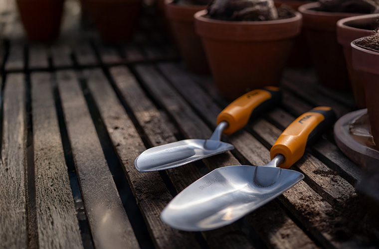  Plant spring colour now