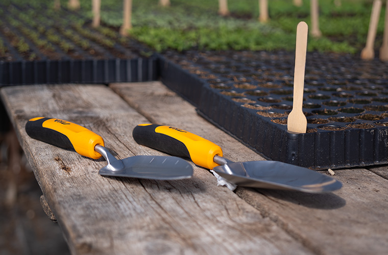 Look after winter garden residents